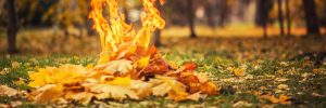 Leaf Burning Hazard