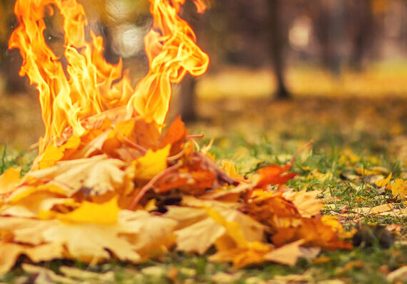 Leaf-Burning